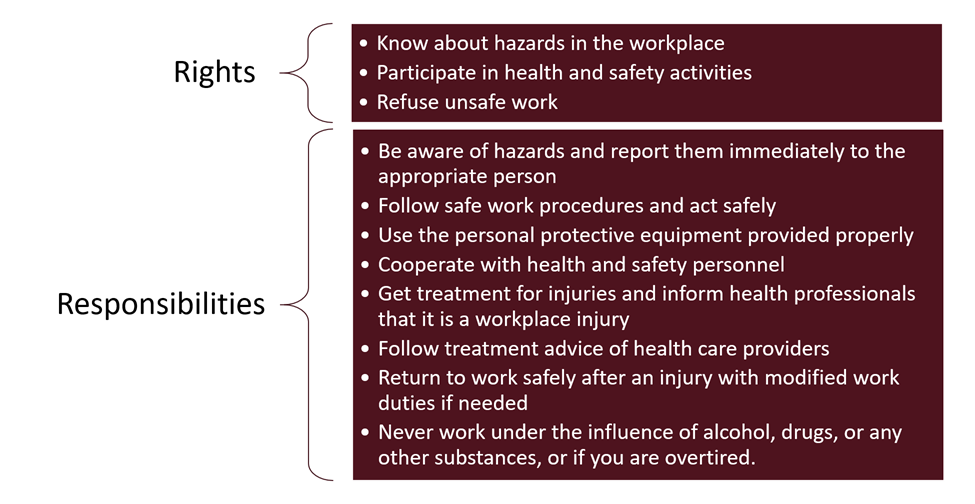 5.2 Rights and Responsibilities Getting Ready for Work