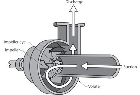 cutaway showing the impeller eye, impeller, discharge, volute, and suction