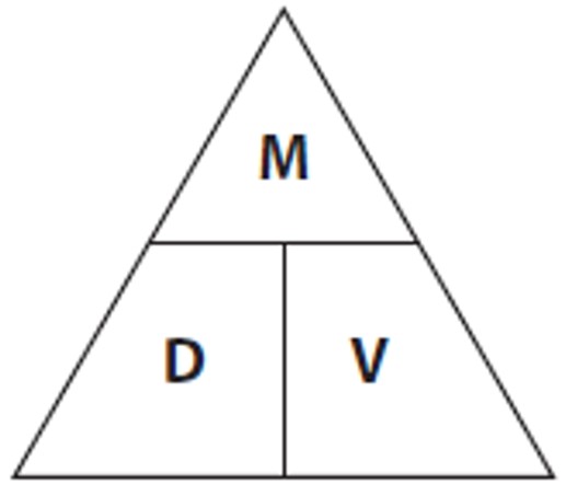 A triangle divided into three sections with letters inside. M is on the top and D and V are in the bottom sections.