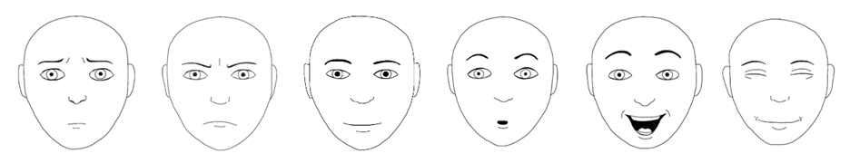 Drawings of 6 faces showing various facial expressions, like scared, angry, suprised, and happy.