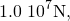 \[1.0\,×\,{10}^{7}\text{N},\]