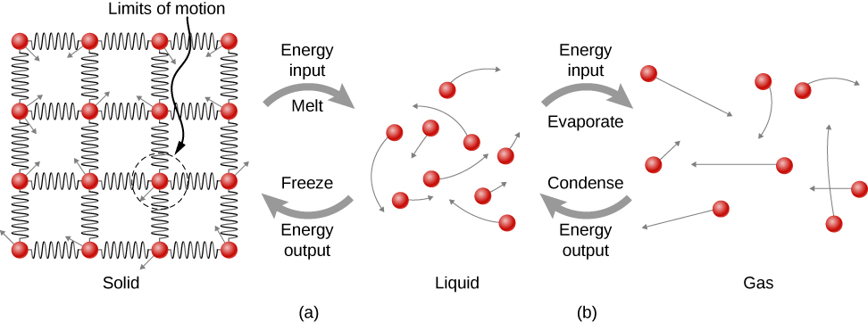 Figure a shows conversion from solid to liquid. In the solid substance, molecules are seen as small circles arranged in a grid. They are connected to one another through springs, forming a lattice structure. Each molecule has a small arrow originating from it. These arrows point in different directions. The length of the arrow forms the radius of a circle labeled limits of motion. In the liquid, the molecules are further apart from each other than in the solid. Arrows from the molecules indicate that they move in any direction. An arrow from the solid to the liquid is labeled energy input, melt. An arrow from the liquid to the solid is labeled energy output, freeze. Figure b shows the liquid and gas, where the molecules are even further apart than the liquid. In the gas, too, they move in any direction. An arrow from the liquid to the gas is labeled energy input evaporate. An arrow from gas to liquid is labeled energy output, condense.