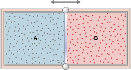 The figure is an illustration of a container with a partition in the middle dividing it into two chambers. A double headed horizontal arrow above the partition indicates that it is moveable The outer walls are insulated. The chamber on the left is labeled with an A, and is full of one gas, indicated by blue shading and many small dots representing the gas molecules. The right chamber is labeled with a B, and is full of a second gas, indicated by red shading and many small dots representing the gas molecules.