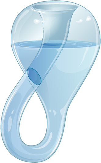 Figure shows a bottle that looks like an upside down flask whose neck is elongated, bent upward, twisted, taken inside the bottle and joined with its base, thus having only one surface.
