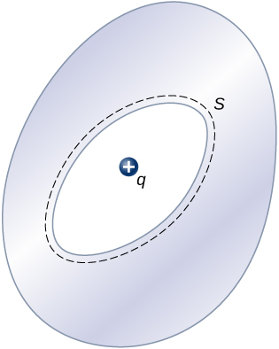 Figure shows an egg shape with an oval cavity within it. The cavity is surrounded by a dotted line just outside it. This is labeled S. There is a positive charge labeled q within the cavity.