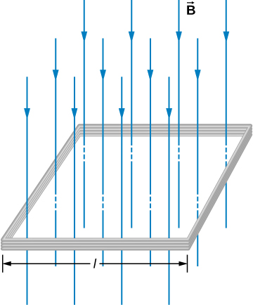 Figure shows a square coil of the side length l with N turns of wire. A uniform magnetic field B is directed in the downward direction, perpendicular to the coil.