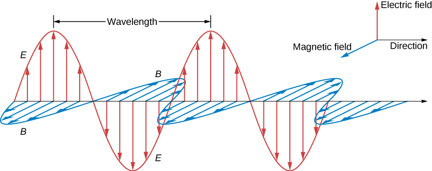Figure shows the positive x direction as the direction of propagation. The positive y direction is labeled electric field and the positive z direction is labeled magnetic field. A sine wave in the xy plane is labeled E. The electric field arrows have their bases on the x axis and their tips on wave E. Another sine wave labeled B is in the xz plane. The magnetic field arrows have their bases on the x axis and their tips on wave B. Waves E and B have the same wavelength and are in phase with each other.