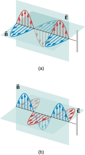 Figures a and b show electromagnetic waves with both electic and magnetic components. In figure a, the electric field is parallel to the wire and the magnetic field is perpendicular. In figure b, the magnetic field is parallel to the wire and the electric field is perpendicular.