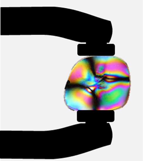 The figure shows a photograph of a plastic lens that is being squeezed by a clamp. Rainbow patterns appear, showing the deformation of the lens. The colored regions are outlined by dark curves connecting the centers of the edges of the lens.