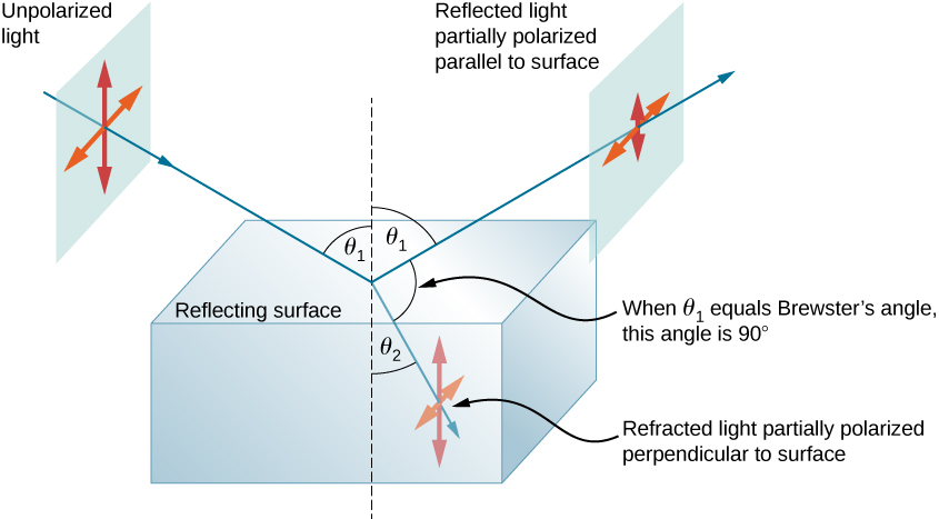 The figure is a diagram that shows a block of glass in air. The reflecting surface is horizontal. A ray labeled unpolarized light starts at the upper left and hits the center of the block, at an angle theta one to the vertical. Centered on this incident ray is are two double headed arrows, one horizontal and the other vertical. From the point where this ray hits the glass block, two rays emerge. One is the reflected ray that goes up and to the right at an angle of theta one to the vertical, and the second is a refracted ray that goes down and to the right at an angle of theta two to the vertical. The reflected light is labeled as partially polarized parallel to the surface. Two double headed arrows, similar to those on the incident ray, are shown centered on the reflected ray, but the vertical arrow is significantly shorter than the horizontal one. The refracted ray is labeled as partially polarized perpendicular to the surface. Two double headed arrows, similar to those on the incident ray, are shown centered on the reflected ray, but the horizontal arrow is significantly shorter than the vertical one. A note indicates that when theta one equals Brewster's angle, the angle between the reflected and refracted ray is ninety degrees.