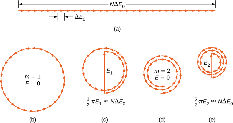 Figure a shows 30 phasors in a line of length N delta E subscript 0. The length of a phasor is delta E subscript 0. Figure b shows a circle with phasors pointing in the anticlockwise direction. This is labeled m equal to 1, E equal to 0. Figure c shows phasors along a circle. They start from the bottom and go one and a half times around the circle in the anticlockwise direction. An arrow from the starting point to the ending point is labeled E1. It forms a diameter of the circle. Figure c is labeled 3 by 2 pi E1 equal to N delta E0. Figure d shows phasors along a circle. They start from the bottom and go twice around the circle in the anticlockwise direction. The figure is labeled m equal to 2, E equal to 0. Figure e shows phasors along a circle. They start from the bottom and go two and a half times around the circle in the anticlockwise direction. An arrow from the starting point to the ending point is labeled E2. It forms a diameter of the circle. Figure c is labeled 5 by 2 pi E2 equal to N delta E0.