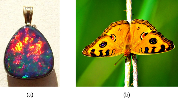 Figure a is a photograph of an opal pendant reflecting various colours. Figure b is the photograph of a butterfly.
