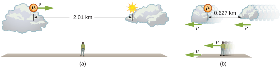 Figure a shows a stationary observer on the ground looking at a muon that is moving to the right with speed v between two clouds that are separated by 2.01 km. Figure b shows the observer, the ground, and the clouds all moving to the left with speed v. The muon is stationary. The clouds are contracted horizontally and the distance between the clouds is 0.627 km.