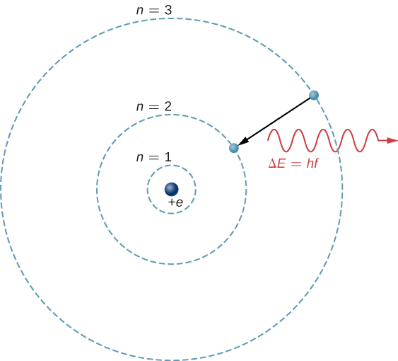 The hydrogen atom is represented as a proton in the nucleus, charge plus e, and an electron in a circular orbit around the nucleus. Three orbits, labeled n =1, n = 2, and n = 3 in order of increasing radius, are shown. An arrow indicates an electron transitioning from the outer to the middle orbit, and a wave labeled delta E equals h f is shown near the transition, leaving the atom.