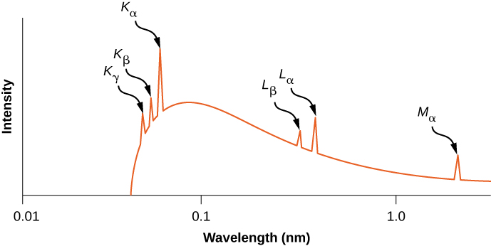 A graph of X-ray intensity versus wavelength in nanometers is shown. The wavelength scale is logarithmic and its range is 0.01 nanometers to just past 1.0 nanometers. The curve starts from a point a little more than half way between 0.01 and 0.1 n m and increases. Before the frequency attains its maximum value at approximately 0.1 n m, three sharp peaks, labeled K sub alpha, K sub gamma, and K sub alpha are formed, after which the X-ray intensity decreases gradually. Two sharp peaks are seen about half way between 0.1 and 1.0, labeled L sub beta and L sub alpha. Another peak, at a wavelength longer than 1.0 n m, is labeled M sub alpha.
