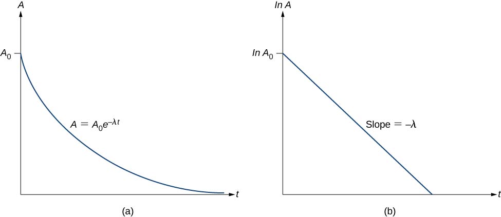 Figure a shows a graph of A versus t. It starts at point A subscript 0 and reduces with time. The rate of reduction decreases slowly till A is very close to 0, making a curved plot on the graph. The plot is labeled A = A subscript 0 e to the power minus lambda t. Figure b shows a graph of ln A versus t. It starts at ln A subscript 0 and slopes downwards in a straight line. The slope of the line is labeled minus lambda t.
