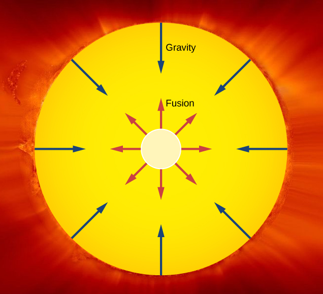 sun life span