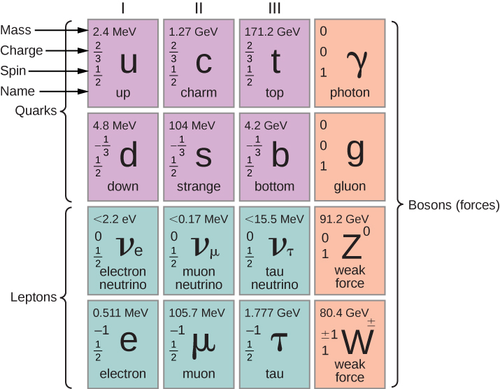 This is a table with four rows and four columns. The first three cells in the first and second rows are labeled quarks. The first three cells in the third and fourth rows are labeled leptons. The last column is labeled bosons, forces. Each cell has the name of a particle, it’s symbol, mass, charge, and spin. In the first row, these values, in that order, are: cell one: up, u, 2.4 MeV, 2 by 3, 1 by 2; cell two: charm, c, 1.27 GeV, 2 by 3, 1 by 2; cell three, top, t, 171.2 GeV, 2 by 3, 1 by 2; cell four: photon, gamma, 0, 0, 1. In row two, these values, in that order, are: cell one: down, d, 4.8 MeV, minus 1 by 3, 1 by 2; cell two: strange, s, 104 MeV, minus 1 by 3, 1 by 2; cell three: bottom, b, 4.2 GeV, minus 1 by 3, 1 by 2; cell four: gluon, 0, 0, 1. In row three, these values, in that order, are: cell one: electron neutrino, v subscript e, less than 2.2 eV, 0, 1 by 2; cell two: muon neutrino, v subscript mu, less than 0.17 MeV, 0, 1 by 2; cell three: tau neutrino, v subscript tau, less than 15.5 MeV, 0, 1 by 2; cell four: weak force, z raised to 0, 91.2 GeV, 0,1. In row four, these values, in that order, are: cell one: electron, e, 0.511 MeV, minus 1, 1 by 2; cell two: muon, mu, 105.7 MeV, minus 1, 1 by 2; cell three: tau, tau, 1.777 GeV, minus 1, 1 by 2; weak force, w plus minus, 80.4 GeV, plus minus 1, 1.