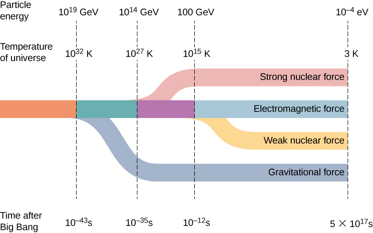Figure shows a timeline. At 10 to the power minus 43 seconds after big bang, the line splits into two. One branch is gravitational force. The other moves ahead and further splits into two at 10 to the power minus 35 seconds. From here, one branch is strong nuclear force. The other splits into two at 10 to the power minus 12 seconds. The two branches are labeled electromagnetic force and weak nuclear force. The particle energy and the temperature of the universe at the time of the first split are: 10 to the power 19 GeV and 10 to the power 32 K respectively. At the second split, they are: 10 to the power 14 GeV and 10 to the power 27 K respectively. At the third split, they are 100 GeV and 10 to the power 15 K respectively. All four lines continue till they reach the values: 5 into 10 to the power 17 seconds, 10 to the power minus 4 eV and 3 K.