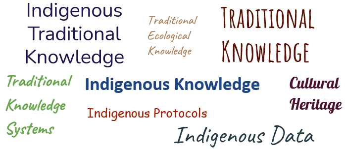 A word cloud with the following terms: Indigenous Traditional Knowledge, Traditional Ecological Knowledge, Traditional Knowledge, Traditional Knowledge Systems, Indigenous Knowledge, Cultural Heritage, Indigenous Protocols, and Indigenous Data.