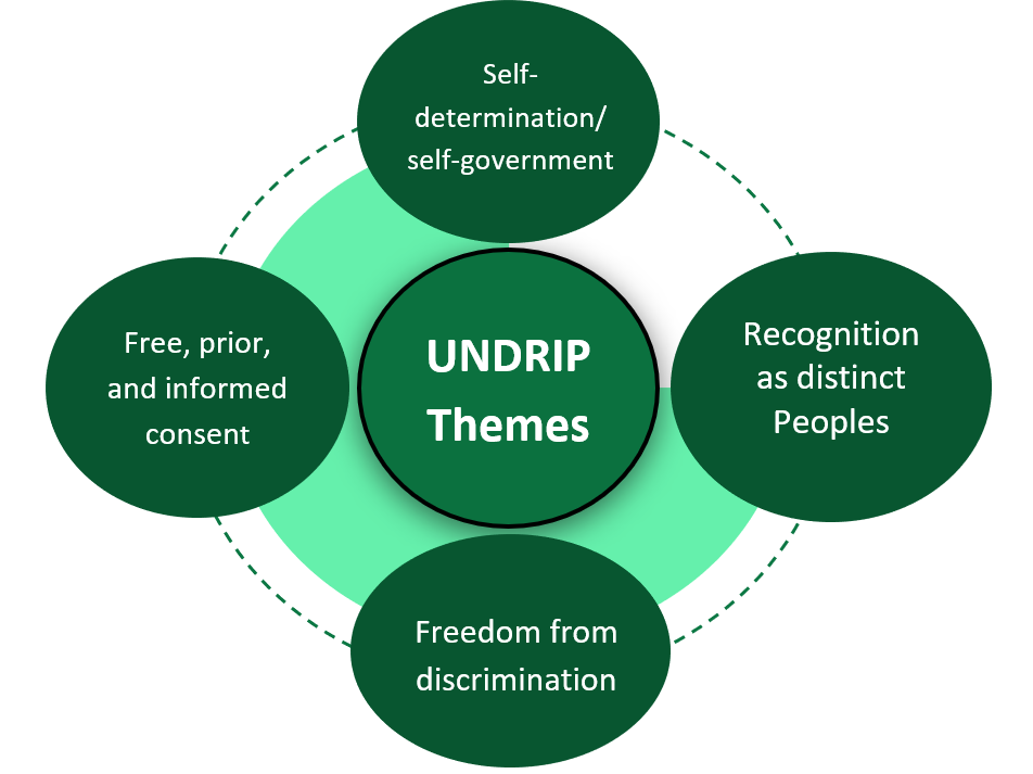 An infographic identifying four themes of UNDRIP.