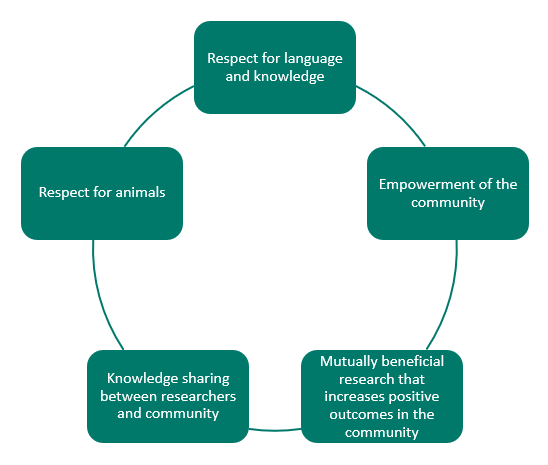 Graphic showing the five research principles developed by Inuit Tuttarvingat: respect for language and knowledge; empowerment of the community; mutually beneficial research that increases positive outcomes in the community; knowledge sharing between researchers and community; respect for animals.