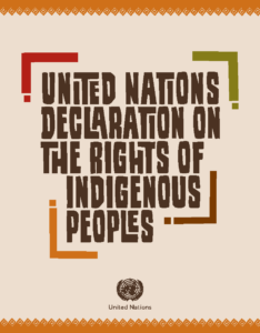 Cover of the United Nations Declaration on the Rights of Indigenous Peoples.